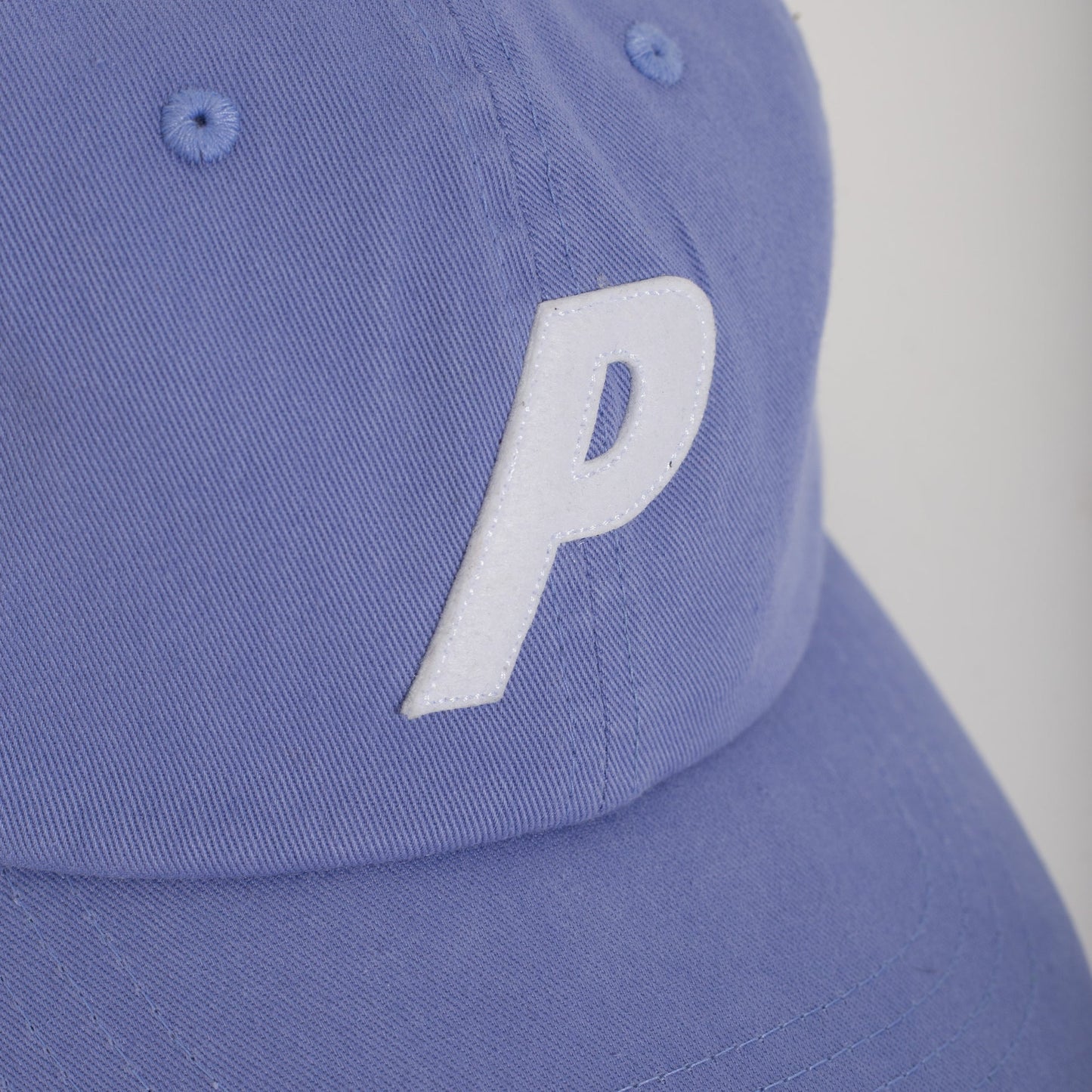 Bone Palace P 6 Pannel